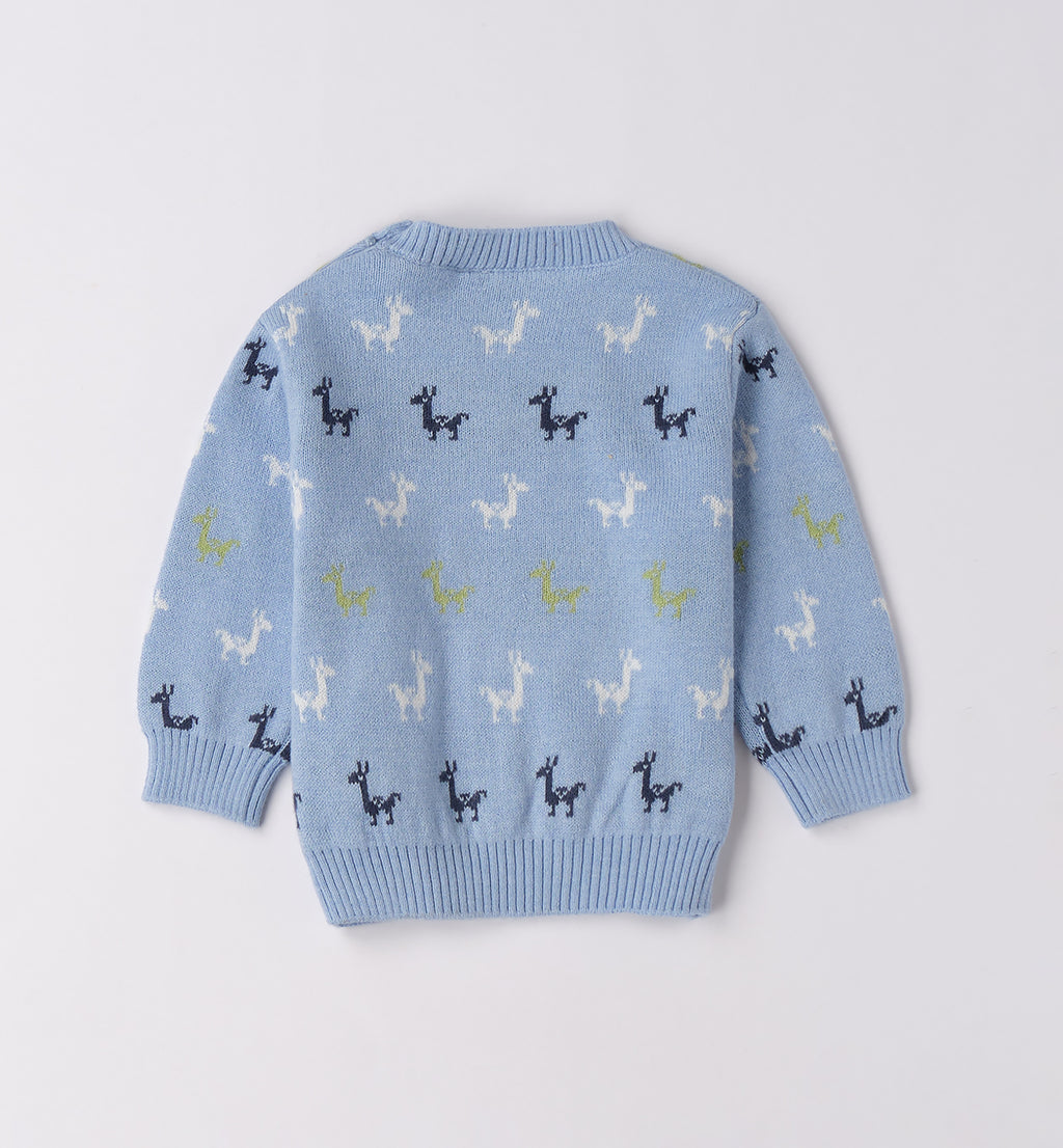 Bimbo maglia dinosauri e pantaloni blu