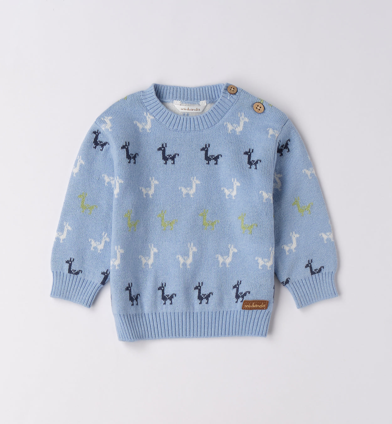 Bimbo maglia dinosauri e pantaloni blu