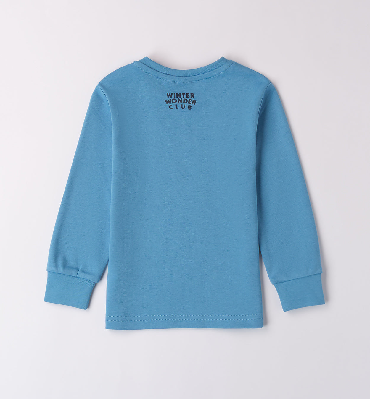 Completo CAMICIA A QUADRI AZZURRA E GRIGIA