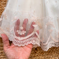 Ricamo cipria su tulle e bordo smerlato con pizzo floreale
